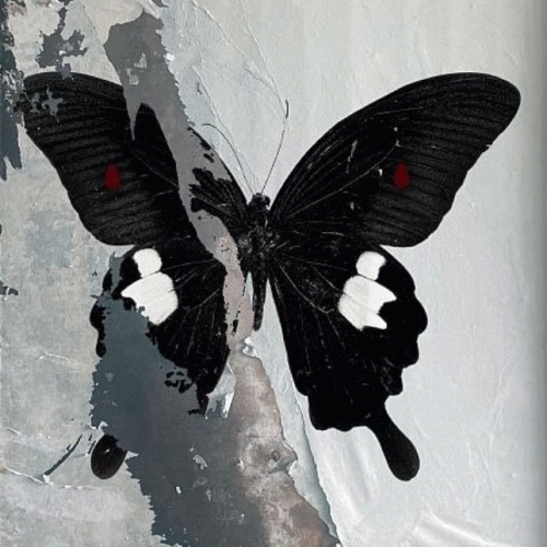 Death Cult : Paradise Now